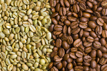 green and  roasted  coffee beans