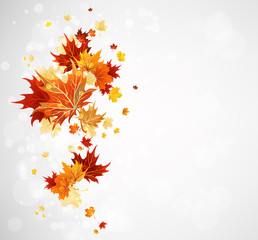 Wall Mural - Background with autumn leaves