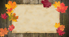 Old Blank Paper With Autumn Maple Leaves