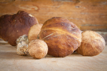 The forest mushrooms in a wooden wall