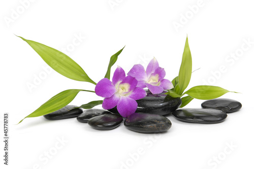 Tapeta ścienna Kamienie zen z dwoma liśćmi orchidei i bambusa