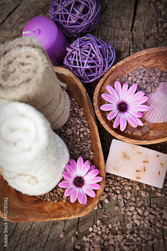 Tapeta ścienna Zestaw fioletowy dayspa natura