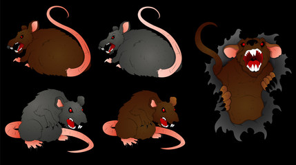 Wall Mural - Rat Vectors