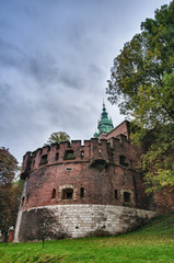Fototapete - wawel in cracow