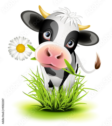 Obraz w ramie Holstein cow in grass