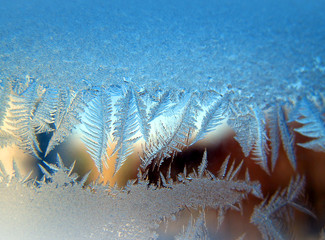 Wall Mural - Frosty fine pattern of nature