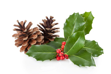 Wall Mural - christmas decoration of holly berry and pine cone