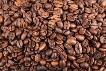 Fototapete - Coffee