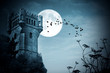 halloween, castillo con luna, noche
