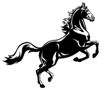 Rearing Horse Black White