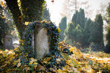 Old Evangelical Graveyard