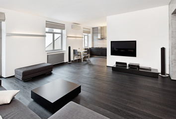 modern minimalism style sitting room interior in black