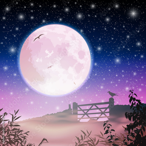 Naklejka samoprzylepna Księżyc i nocne niebo