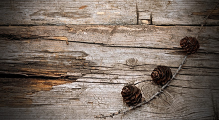 Branch of fir tree on wood