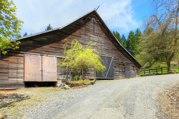 Wall Mural - Old large shed with green spring landscape and fence.