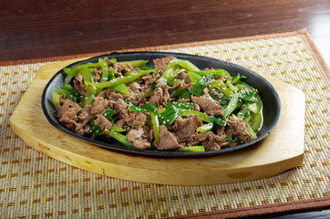 Sticker - Chinese dish - beef with vegetables close-up