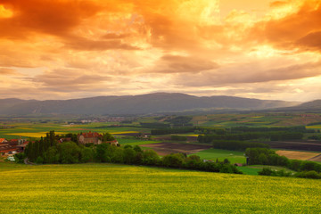 Poster - Green meadow under sunset sky with clouds