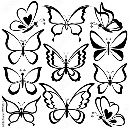 Fototapeta na wymiar Butterflies, black contours
