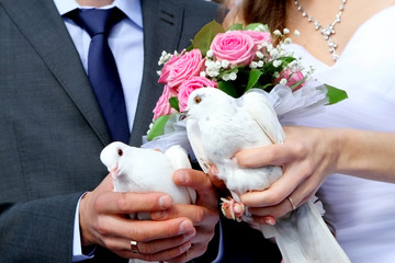 pigeons on wedding tradition