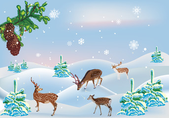 Sticker - four deers between snow firs