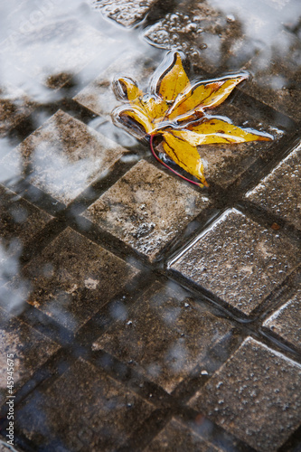 Naklejka na drzwi Yellow leaf in a puddle