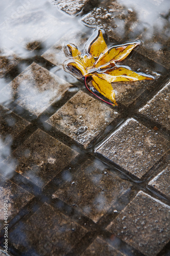 Naklejka - mata magnetyczna na lodówkę Yellow leaf in a puddle