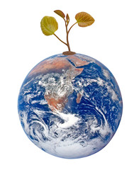 Wall Mural - Planet earth as symbol of nature conservation.Elements of this i