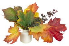 Minimalistic  Bouquet  - Autumn Maple Leaves