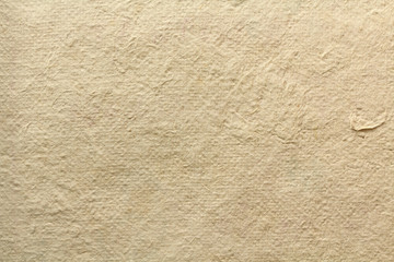 Poster - Brown paper texture background