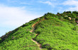 © leungchopan - mountain path