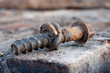 rusty screws