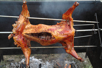 Sticker - roasted lamb