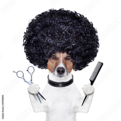 Tapeta ścienna na wymiar hairdresser scissors comb dog