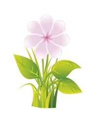 Poster - flower vector