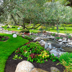 Fototapete - Spring flowers in the Asian garden