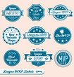 Vector Set: Vintage League MVP Award Labels and Icons