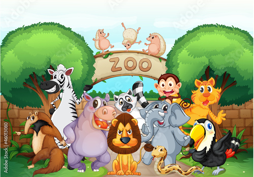 Obraz w ramie zoo and animals