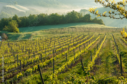 Tapeta ścienna Chianti winnic krajobraz w Toskanii, Włochy