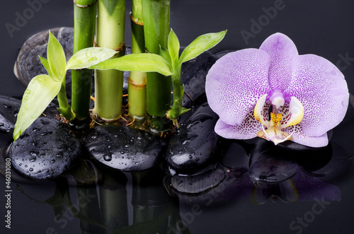Tapeta ścienna Bambus z orchidei
