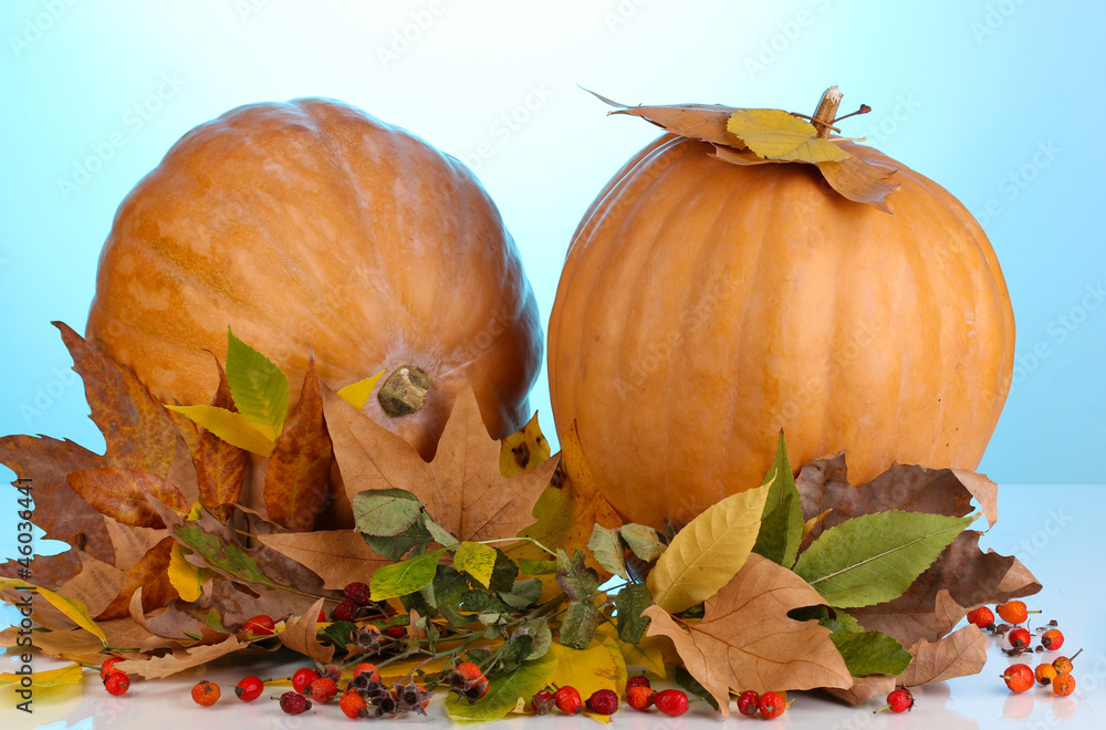 Two ripe orange pumpkins with yellow autumn leaves