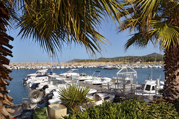 Wall Mural - Port of Argelès-sur-Mer in France