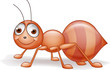 Vector illustration of ant cartoon