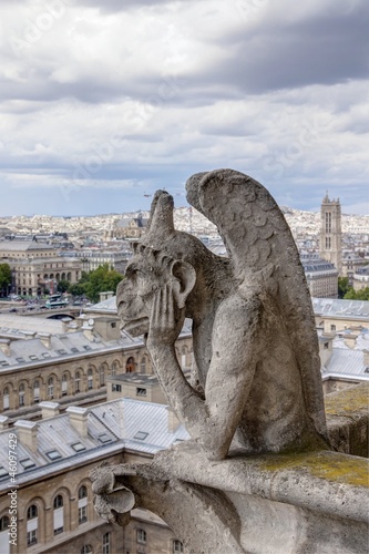 Board z aluminiowym obramowaniem Gargulec z notre dame - Paryż
