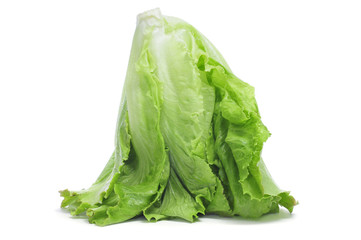 Wall Mural - romaine lettuce