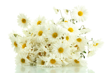 Canvas Print - bouquet of beautiful daisies flowers, isolated on white