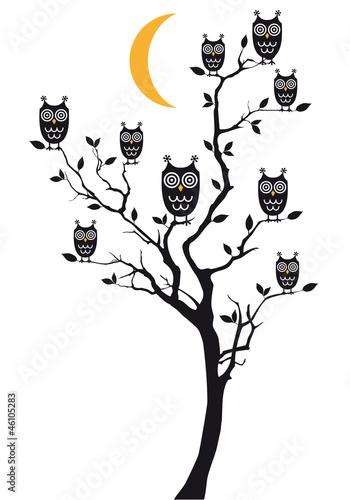 Naklejka na szybę owls sitting on tree, vector