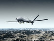 Unmanned Combat Air Vehicle