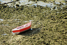 Lonely Boat Aground