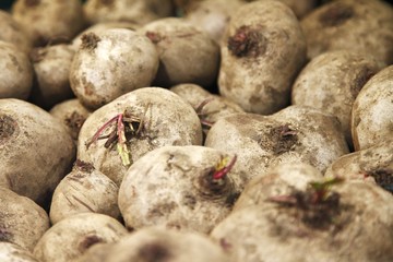 Canvas Print - Raw beetroot in a big grocery