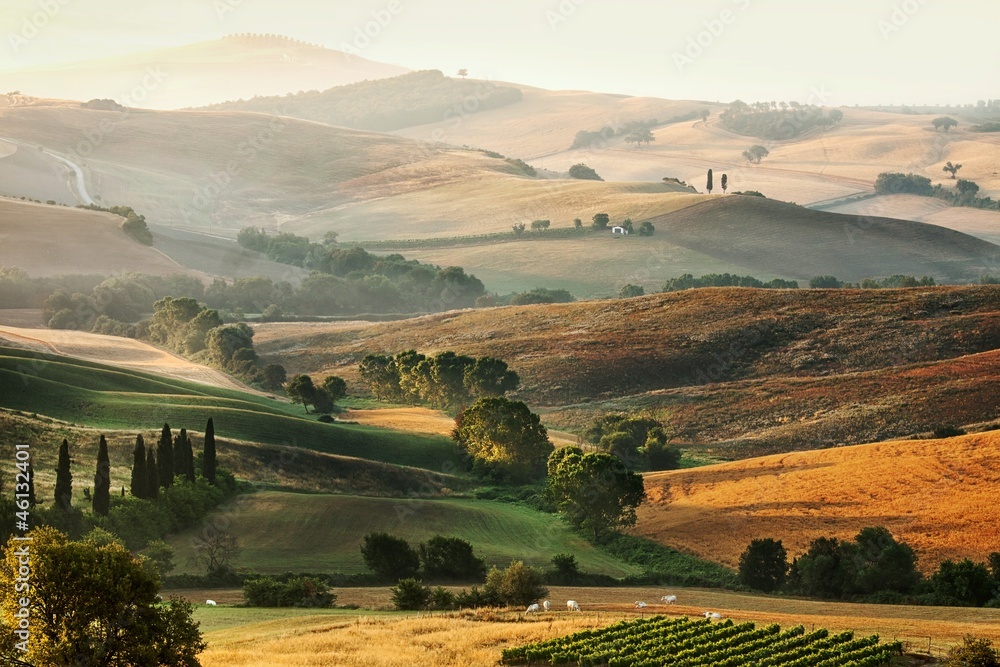 Italian countryside in Tuscany - obrazy, fototapety, plakaty 
